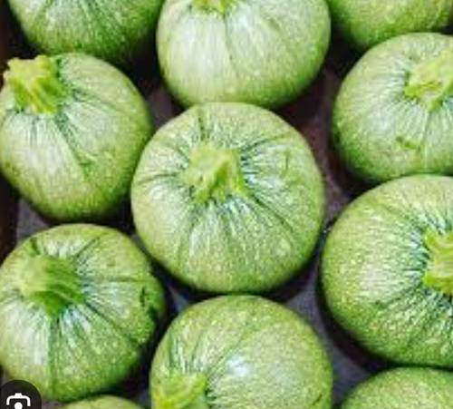 Zucchine tonde - Contadini del Mincio