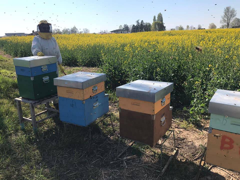 Dall'8 febbraio c'è anche l'azienda l’apicoltura Bee-Fruit