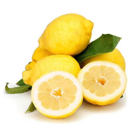 Limoni BIO Coop. Mani e Terra SoS Rosarno