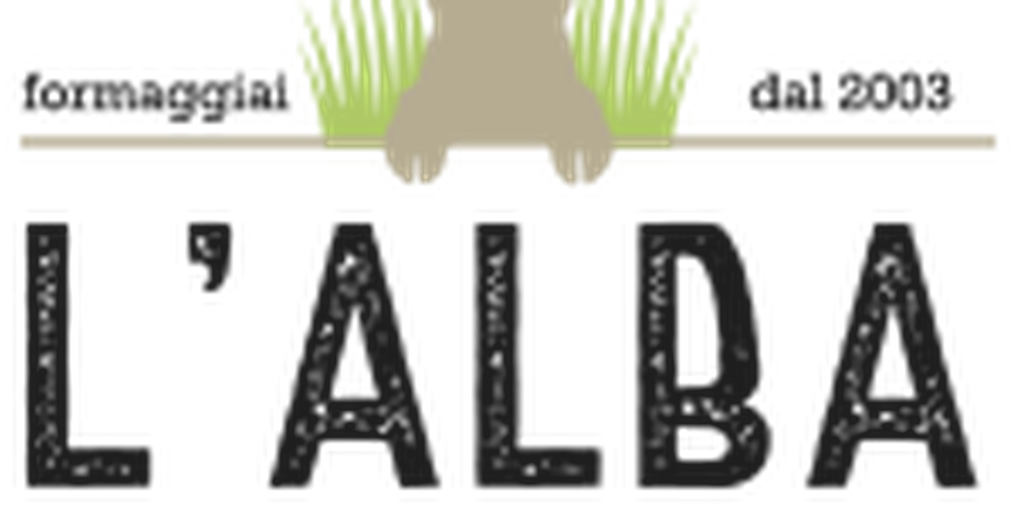 logo-footer-1.png