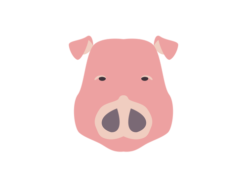 Fiocchetto Di Prosciutto pelato sv