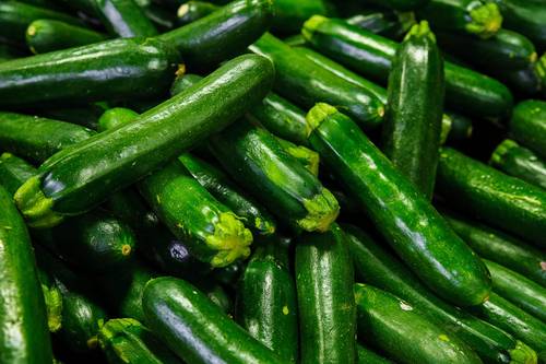 Zucchine - Contadini del Mincio
