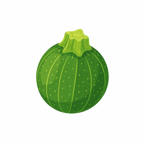 Zucchine tonde - Contadini del Mincio